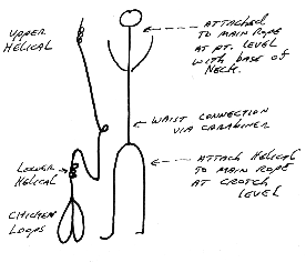 Figure 11.